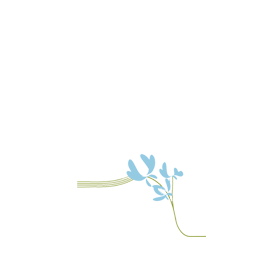 blumen02